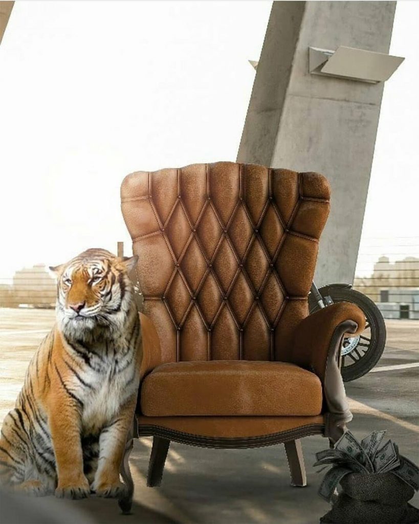 Royal King Chair CB Background Free Stock Image