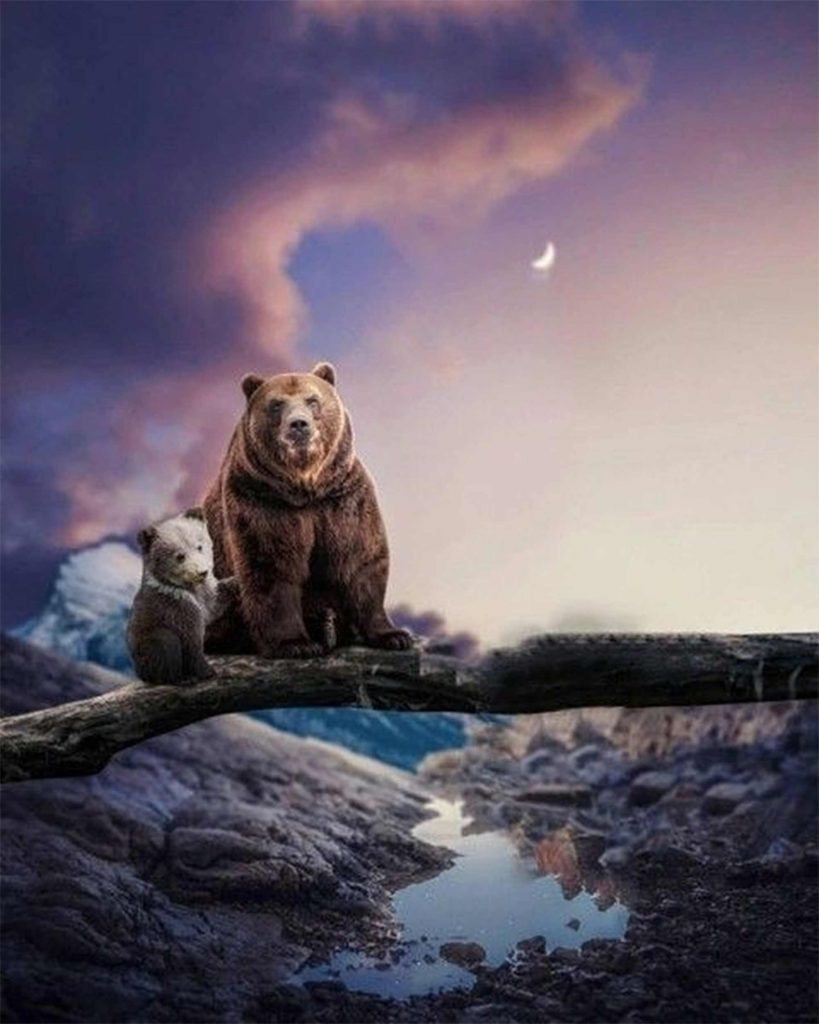 Cute Bear CB Background Free Stock Image