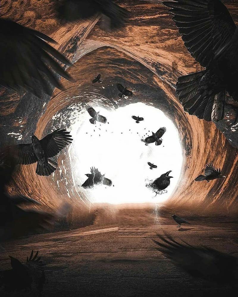 Blur Eagles Flying PicsArt Background Free Stock Image