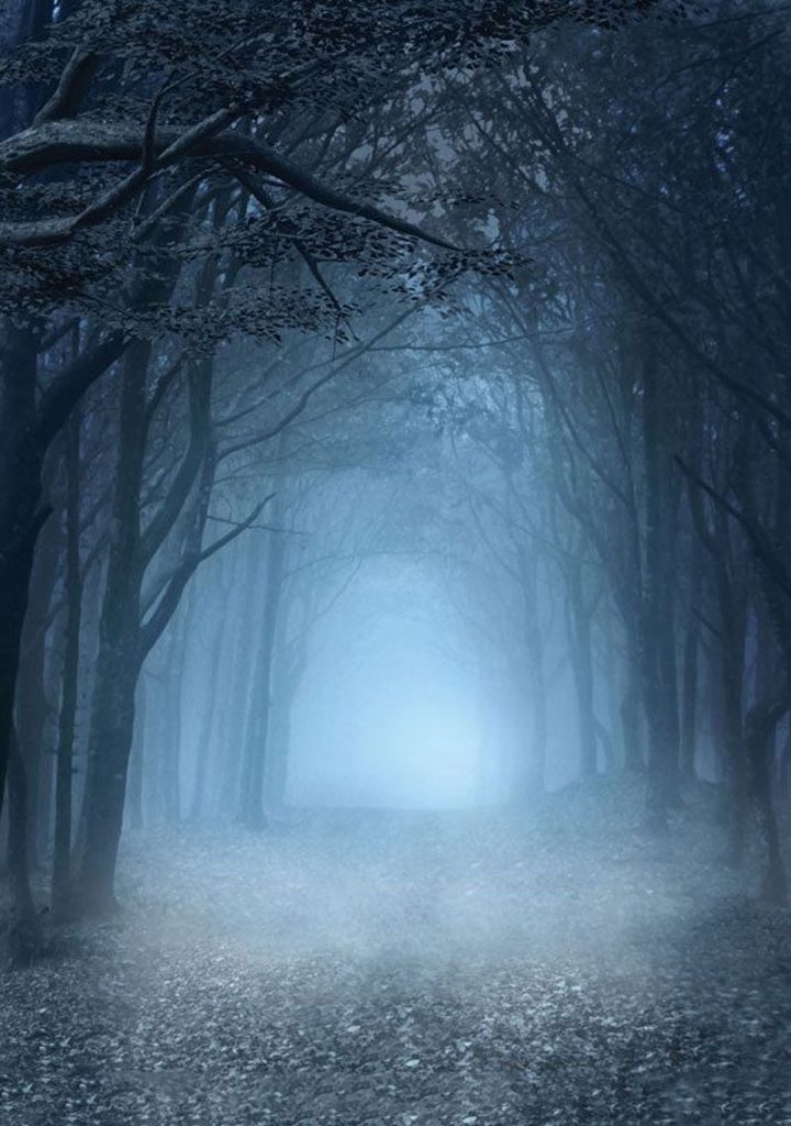 The Beast Forest With Foggy PicsArt Background Free Stock Image