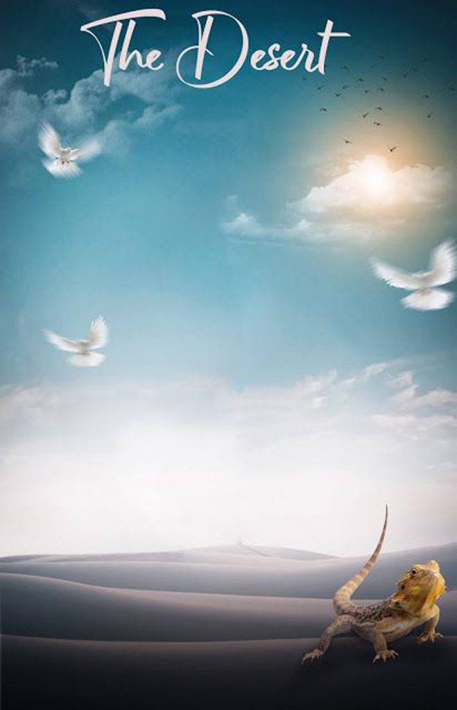 The Desert Blur PicsArt Background Free Stock Image 
