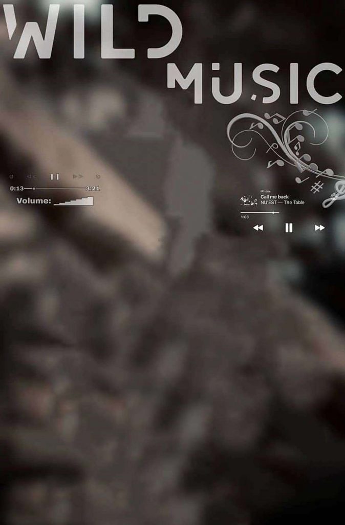 Wild Music Blur Snapseed Background Full HD Image