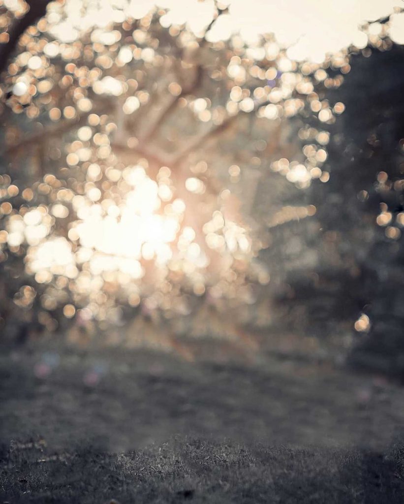 Bokeh Blur CB Background HD Free Stock Image 