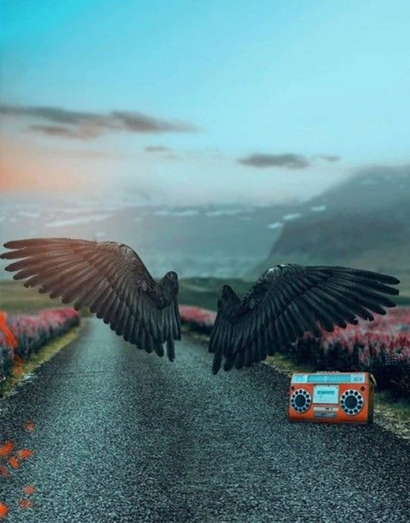 Black Wings and Radio CB Background Free Stock Image