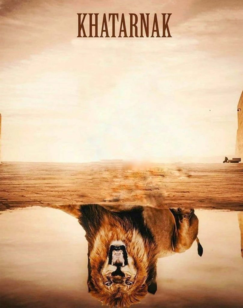 Lion Reflection CB Background Free Stock Image
