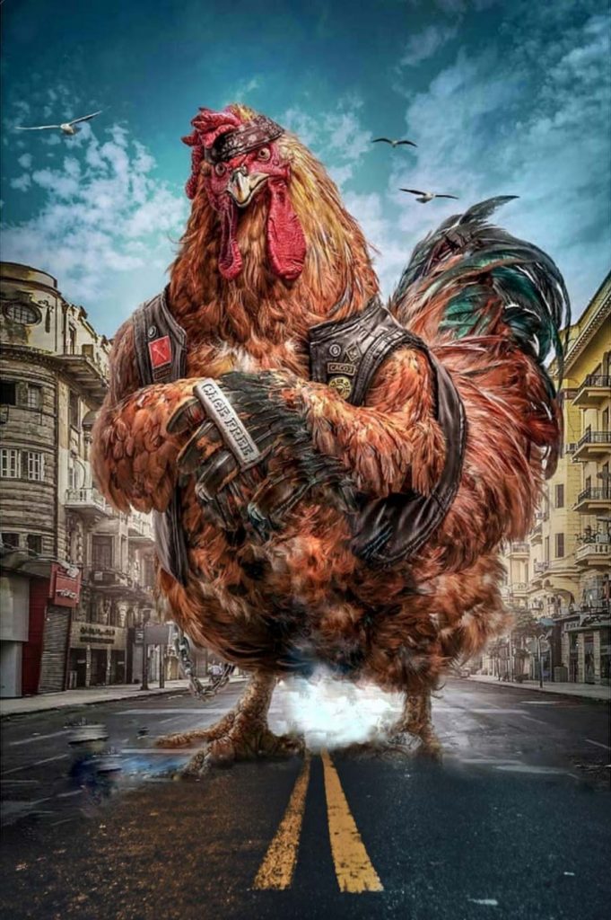 PUBG Chicken Blur PicsArt Background Free Stock Image