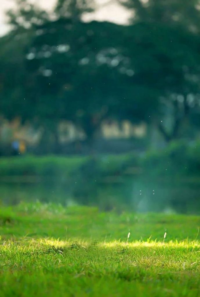 Green Field Blur PicsArt Background Free Stock Image