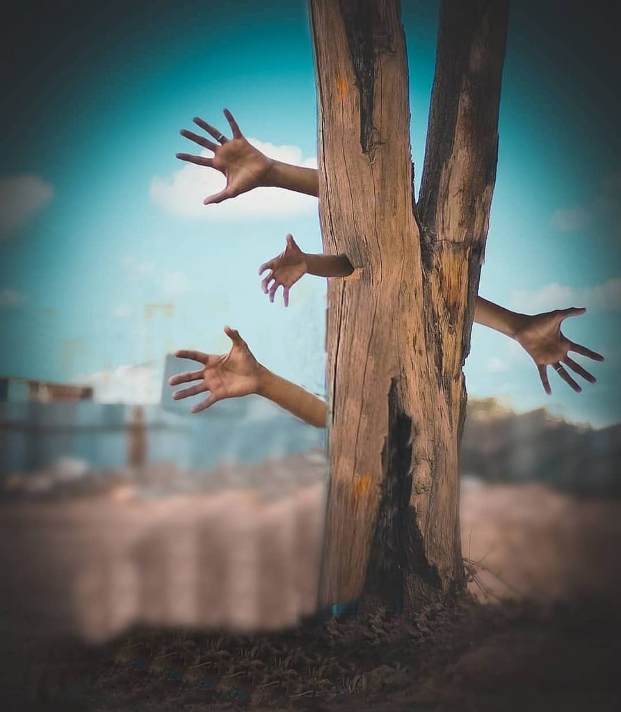 Tree With Hand Editing save tree PicsArt Background Free Stock Image