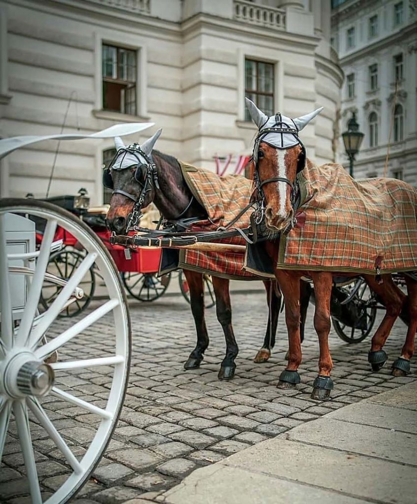 Visit Vienna Blur PicsArt Background Free Stock Image 