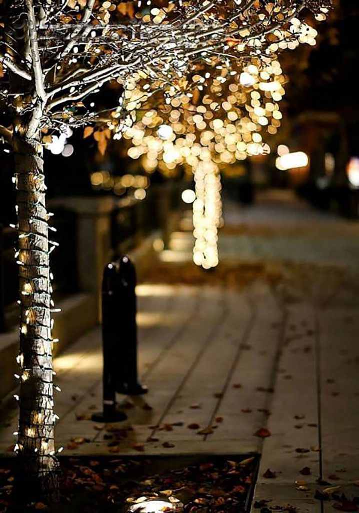 Lighting Tree Blur PicsArt Background Free Stock Image