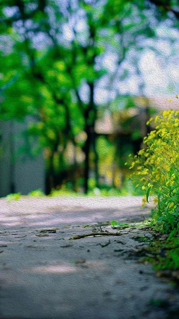 Nature Blur PicsArt Background Free Stock Image