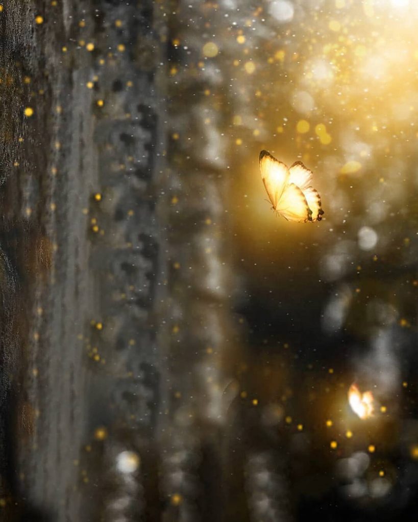 Golden Butterfly Blur PicsArt Background Free Stock Image