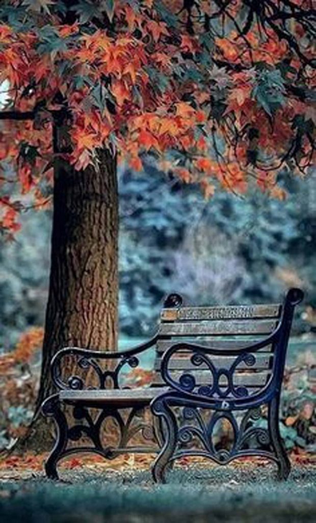 Park Blur PicsArt Background Free Stock Image