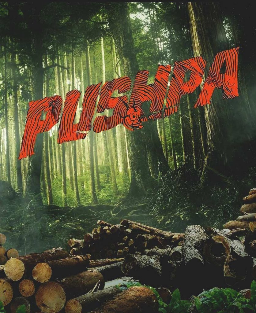 Pushpa Movie Poster CB Background Stock Image 