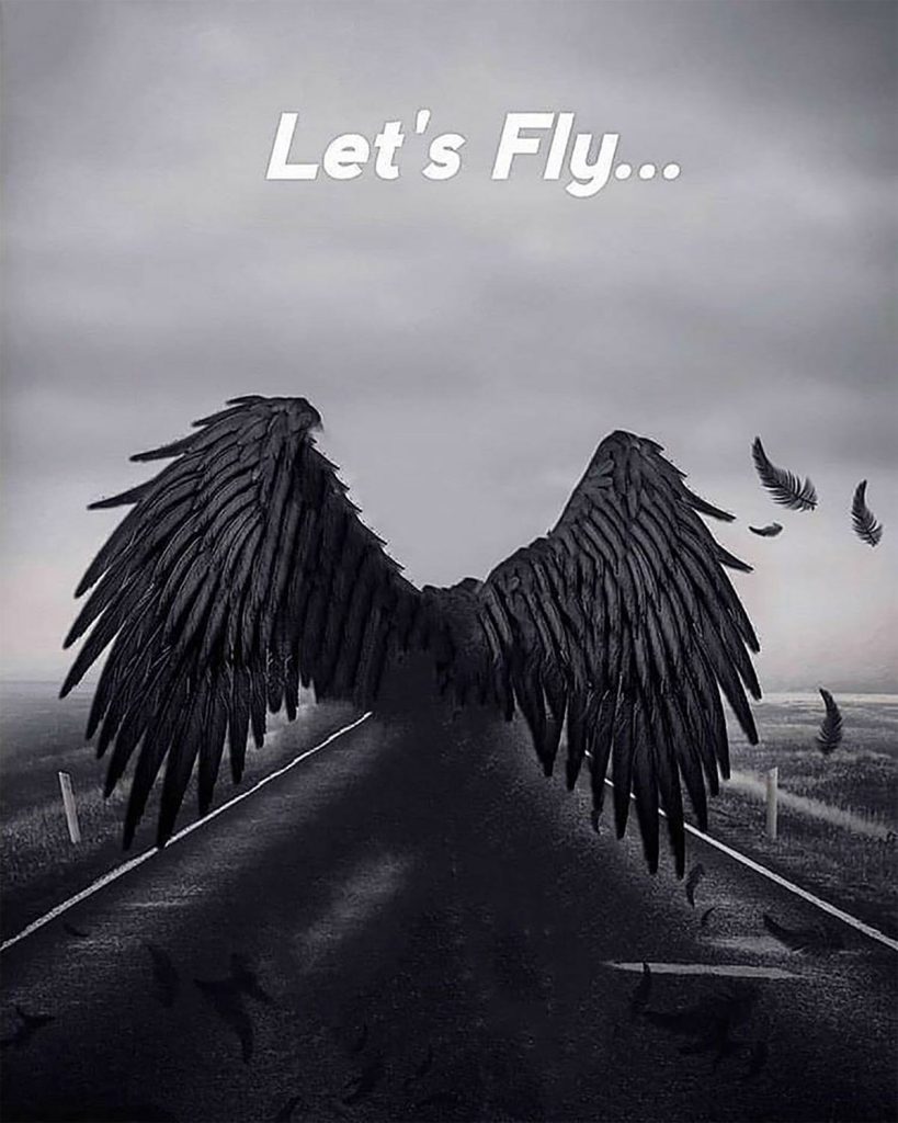Black Wings CB Background Free Stock Image
