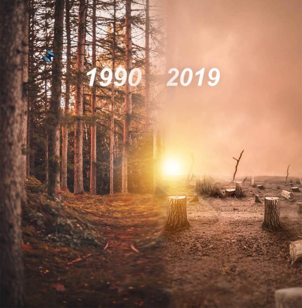 Deforestation CB Background Free Stock Image