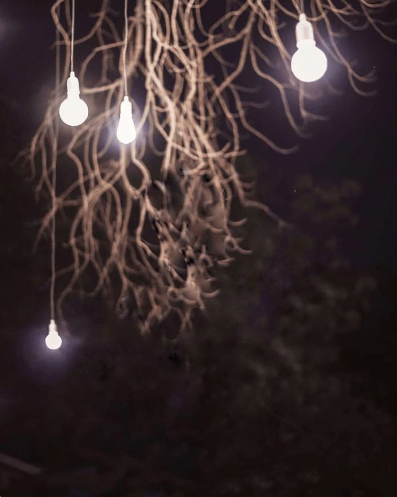 Bulb Blur PicsArt Background Free Stock Image