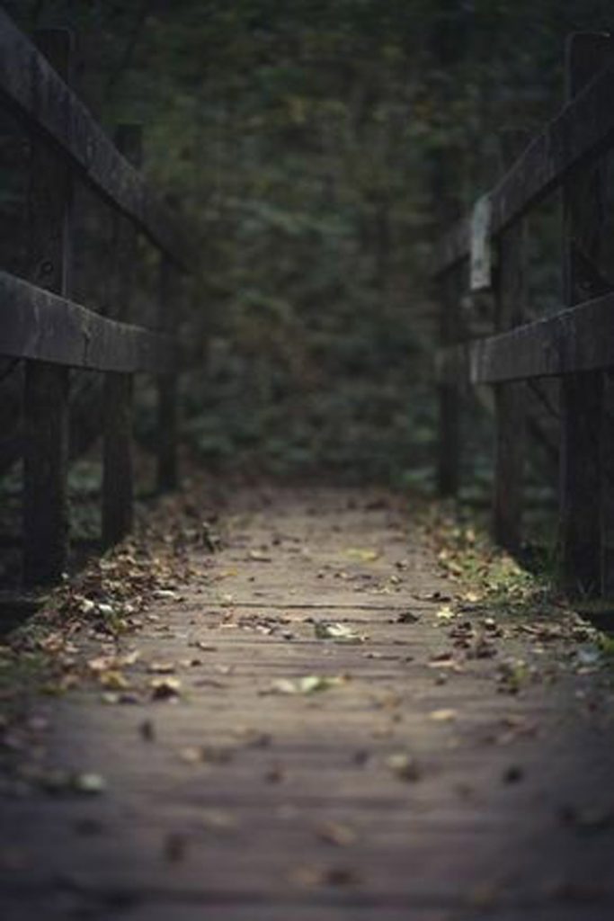 New HD Creative PicsArt Background Free Stcok Image