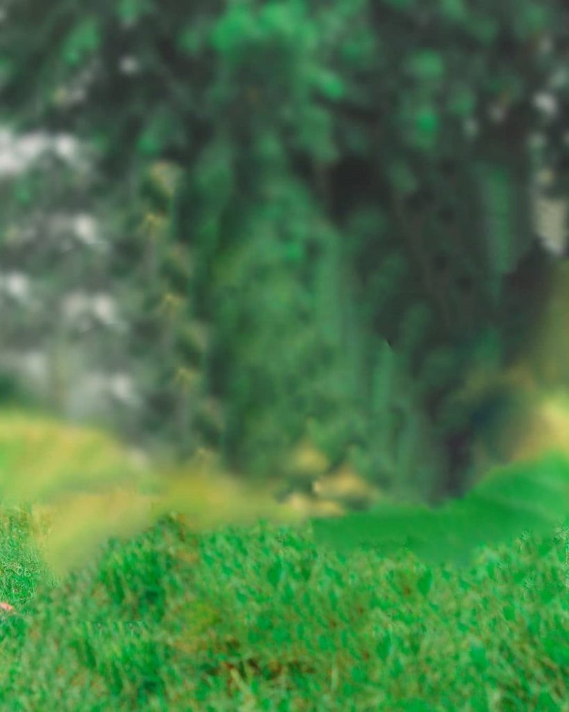 Green Field Blur PicsArt Background Free Stock Image