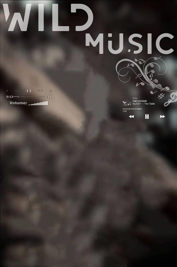 Wild Music Blur PicsArt Background Free Stock Image