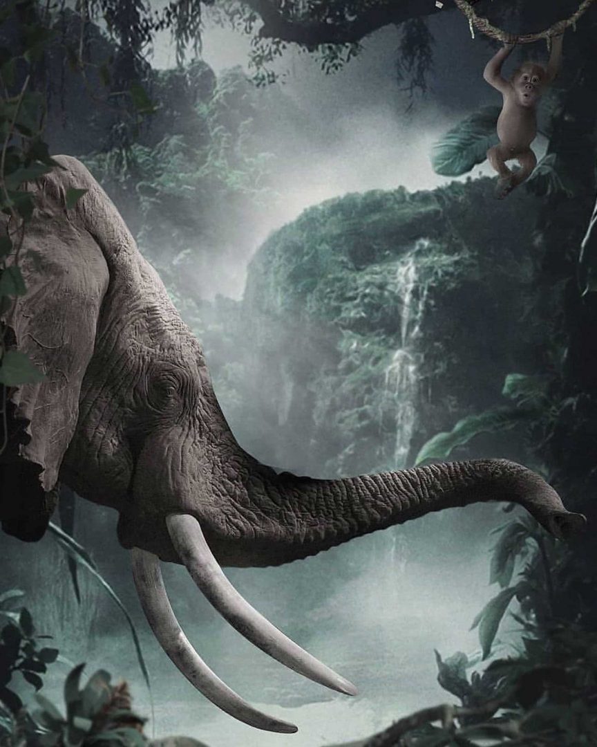 Wild Elephant Snapseed Background Free Stock Photo