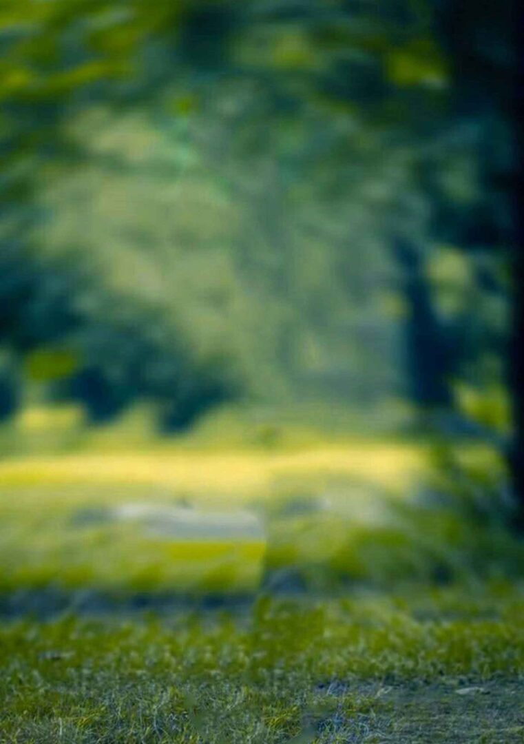 Nature CB Blur Background Free Stock Image