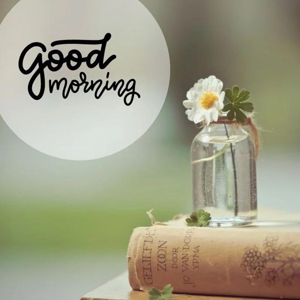 White Flower Good Morning Picture With Quote