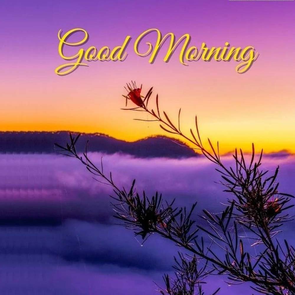 Cloudy View Good Morning Image Free Wishing Pic