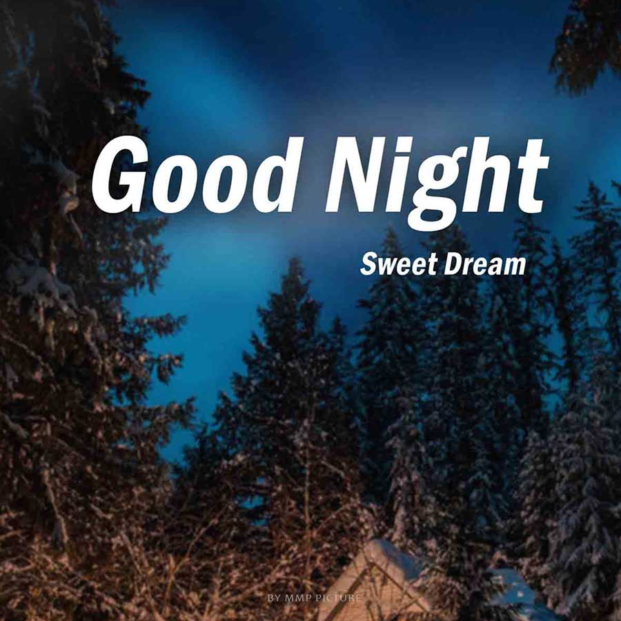 Beautiful Good Night Images Forest View For Whatsapp